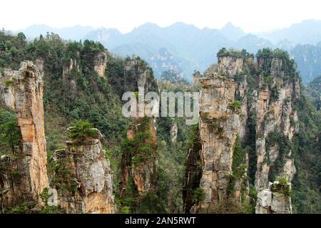 Hunan Hunan, Cina. 16 gennaio, 2020. Hunan, CINA-Con la popolarità del ''avatar'' sequel, Alien scena di ''Pandora'', yuanjiajie 5un punto panoramico in Zhangjiajie National Forest park nella provincia del Hunan, è diventato una popolare attrazione turistica in Cina per la Festa di Primavera.turisti prendere una teleferica a vagare attraverso la scoscesa e spettacolari foreste di montagna. Credito: SIPA Asia/ZUMA filo/Alamy Live News Foto Stock