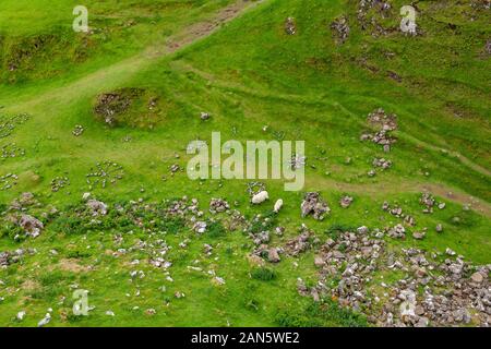 Il Fairy Glen in tarda primavera inizio estate. Isola di Skye in Scozia. Foto Stock