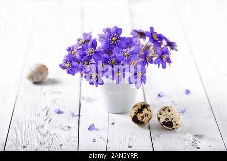 Hepatica fiori viola in un piccolo vaso bianco con le uova. Messa a fuoco selettiva. Concetto di pasqua. Foto Stock