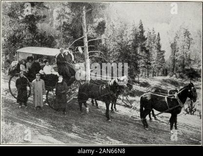 Haynes nuova guida e degli automobilisti strada completa log del Parco Nazionale di Yellowstone . arty è stata organizzata a Fort Yellowstone per visitare thewinter gamme di animali per accertare il numero ofbuffaloes e fotografare. La festa consisteva ofCaptain Scott, Lieut. Forsyth, Scout Burgess, EobertBurns, fotografo Haynes, e tre non-commissionedofficers. Sulla Norwegian racchette da neve, con pacchi di sleepingbags, disposizioni e fotocamera, abbiano proceduto direttamente Valle toHayden via Xorris e il Grand Canyon. Theyfound ottanta-uno buffaloes in valle, settanta-tre inone mandria; e numerosi gruppi di Foto Stock