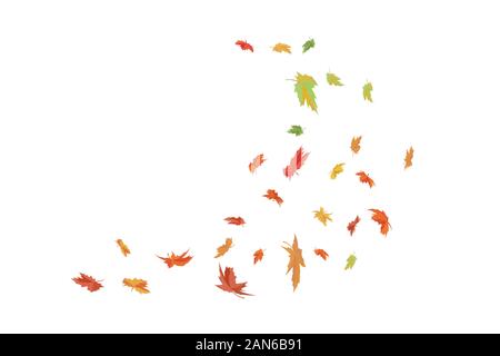 La caduta di foglie di acero. La stagione autunnale illustrazione vettoriale. Illustrazione Vettoriale