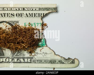 Il tabacco da fiuto su un dollaro, bruciato denaro Foto Stock