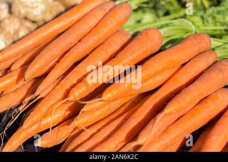 Primo piano di un mazzo di carote fresche e arancioni - in mostra per la vendita in un mercato agricolo. Foto Stock