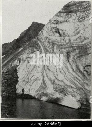 Haynes nuova guida e degli automobilisti strada completa log del Parco Nazionale di Yellowstone . GRAND CANYON VICINO A TORRE CADUTA Descrizione della struttura thePetrified, su theroute da TowerJunction (TJ) toMammoth HotSprings, è a pagina107. Il BuflfaloRanch, Cooke Cityand il GrasshopperGlacier sono reachedby lato roadwhich conduce a nord-est dalla torre-!giunzione.. GRASSHOPPER GLACIER 21l&GT;^9 Parco Nazionale di Yellowstone 103 Il Buffalo Ranch, mantenuta dal Servizio del Parco Nazionale dove la grande ^^tame^^ mandria di AmericanBison sono, è 10,8 miglia dalla Torre di caduta sulla giunzione leviti strada laterale. Il bufalo summe Foto Stock