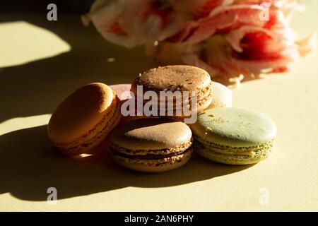 Composizione contemporanea macarons pastello e fiore Amaryllis sulla luce backgraund giallo con ombra scura. Foto Stock