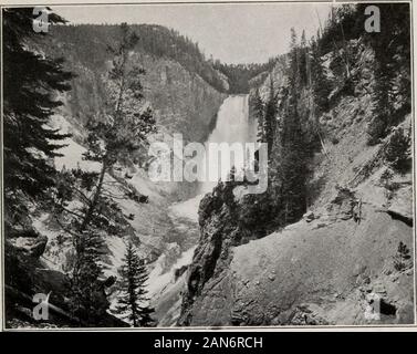 Haynes nuova guida e degli automobilisti strada completa log del Parco Nazionale di Yellowstone . GRAND CANYON HOTEL LOUNGE il parco nazionale di Yellowstone 97. Grande caduta di Yellowstone, 308 16260 piedi Guardare lassù! Che è la minore caduta del giallo-pietra. Non è la più imponente nel mondo, ma vi è nonemore beiautiful. Non vi è la larghezza e il cruscotto di Niag-ara, né vi è la profondità enorme di salto di alcuni thewaterfalls di Yosemite. Ma qui è la maestà del suo ownkind e bellezza, troppo. Su entrambi i lati sono vaste pinnacoli di roccia ofsculptured. Lì, dove la roccia si apre per il fiume,le sue acque di un Foto Stock