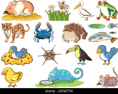 Grande set di fauna selvatica con molti tipi di illustrazione di animali Illustrazione Vettoriale