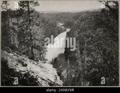 Haynes nuova guida e degli automobilisti strada completa log del Parco Nazionale di Yellowstone . GRAND CANYON EDIFICIO CAMP Parco Nazionale di Yellowstone 95. Caduta superiore di Yellowstone, 1U" piedi 14053 trascorrere la giornata presso questo hotel è un vero piacere. Un cozyfoyer, ampio salone e capiente sala da pranzo sono arredate allelegantly e della nuova architettura. Adjoiningthe edificio principale si trova il salone, dove concerti e dancesare detenuti. È notevole il fatto che così tante miglia da anyrailroad, alberghi può essere così ben attrezzato come rivale di thebest città osterie. Orlo di caduta inferiore raggiunto da un 494 footstairway sul Foto Stock