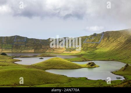 Le Ortensie crescono lungo le piccole pareti di roccia costruito dentro il cerchio del Corvo Caldera sull isola di Corvo nelle Azzorre, Portogallo. Foto Stock