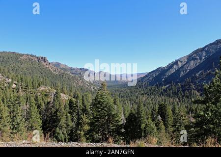 Stanislaus National Forest in California Foto Stock