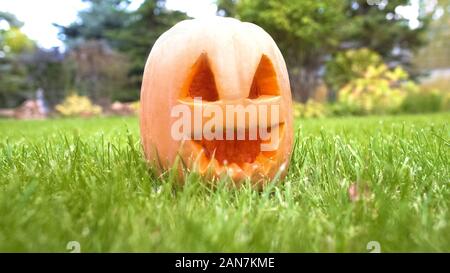 Jack di zucca su erba in cantiere, decorazioni creative per la festa di Halloween, cane pov Foto Stock