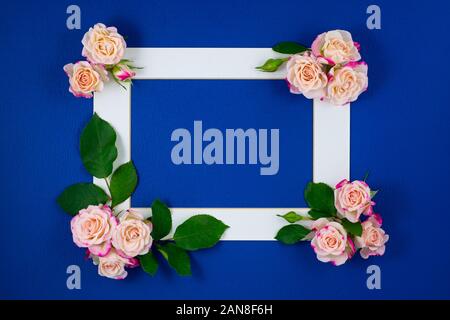 Fiore composizione del. Quadro di rosa fiori di rosa sul classico sfondo blu. Il giorno di San Valentino, Festa della mamma, donne giorno, scheda di nozze, invito Foto Stock