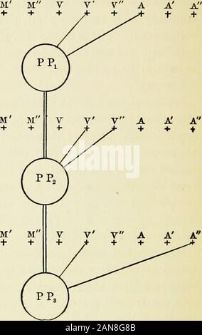 I principali sintomi di isteria : quindici lezioni nella scuola di medicina dell'Università di Harvard [tra il quindicesimo giorno del mese di ottobre e la fine di novembre, 1906] . een o sentito è di primaria necessità e heneglects a percepire la sensazione tattile e sensazioni muscolari,pensando che lui può fare senza di loro (figura 23). A theoutset, egli potrebbe forse ancora girare a loro e takethem nel suo campo di percezione personale, almeno fora momento; ma, la possibilità non presentandosi, thebad abitudine psicologica è formata lentamente. Niente di grave ismore, più ostinato rispetto a queste abitudini morale.Vi è una CRO Foto Stock