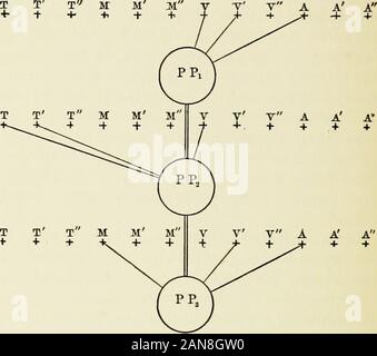 I principali sintomi di isteria : quindici lezioni nella scuola di medicina dell'Università di Harvard [tra il quindicesimo giorno del mese di ottobre e la fine di novembre, 1906] . rstand questa concezione psicologica ben,è possibile applicare facilmente a precedenti phenomenonthat abbiamo appena osservato con i nostri pazienti isterica.Il loro primo stigma morale, suggerimento, già mostra siamoil isolamento dell'ideale; è perché non vi è nessun re-azione tra le varie impronte che ogni parola,ogni emozione, ogni ricordo, prende un inordinatedevelopment che abbiamo chiamato suggestibility. Sug-gestion, è sempre s Foto Stock