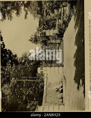 American terreni e giardini . oom e musica apertura camera fuori il grande salone centrale. Thehall, con la sua scalinata ornamentali, è interamente di pietra di Caen. La sala da pranzo, alla fine della hall, è tutto in pannelli di quercia e ha un soffitto a cassettoni. I tendaggi sono greenand oro e l'intaglio sul rovere è anche dorato, con molto successo introduzione ofcolour. Il librarv è in noce italiano, e, come la sala da pranzo è interamente rivestite con pannelli di legno. Theceiling è di gesso, e il manto di marmo. Il tono del salotto è grigio. Questo isa Camera affascinante, deliziosamente rifinito con la dec Foto Stock