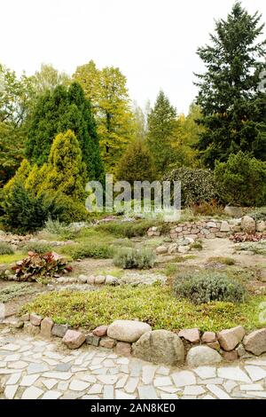 Giardino botanico alpino con le pietre e le diverse piante crescenti, design paesaggistico Foto Stock