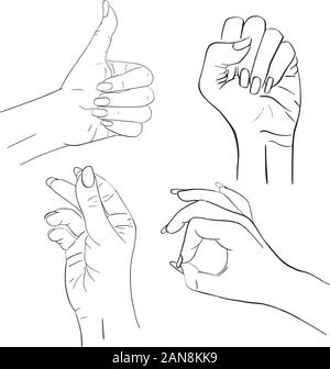 Set di vettore di mani femminili e di gesti. Illustrazione Vettoriale