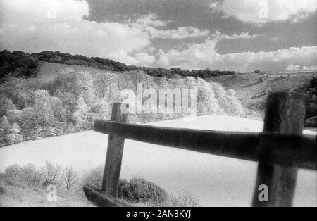 Vecchio Winchester Hill, Hampshire, Inghilterra, Regno Unito. In bianco e nero a raggi infrarossi filmstock, con la sua caratteristica prominente struttura della grana, ad alto contrasto e incandescente fogliame lucido. Foto Stock