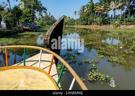 Crociera in barca sul backwater, kumarakom, kerala, India del sud Foto Stock