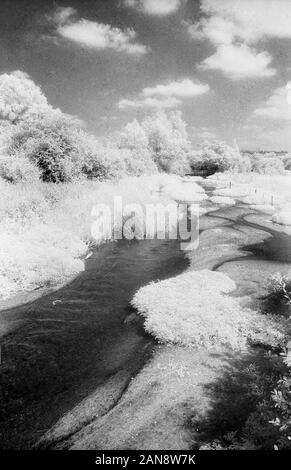 Meon fiume vicino a Exton, mid-Hampshire, Inghilterra, Regno Unito. In bianco e nero a raggi infrarossi filmstock, con la sua caratteristica prominente struttura della grana, ad alto contrasto e incandescente fogliame lucido. Foto Stock