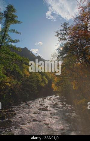 Il Bode scorre sotto il sole attraverso la bella Sassonia-Anhalt Foto Stock