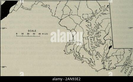 North American fauna . ay 30, 1917,in Prince Georges County (W. L. McAtee, A. Wetmore); maggio 26,1952, a Baltimore County (il sig. e la sig.ra R. D. Cole). Caduta la migrazione.-normale Periodo: settembre 15-25 di ottobre15-25; picco, 25 settembre al 15 Ottobre. Extreme data di arrivo:12 settembre 1943, in Prince Georges County. Extreme partono-ura date: Ottobre 30,1927, a Baltimore County (F. C. Kirkwood,J. M. Sommer) ; Ottobre 30, 1943 in Prince Georges County. Conteggio massimo.-molla: 4 lungo la C. E O. Canal, Mont-gomery County, il 10 maggio 1952 (P. A. DuMont); 3 a Rosedale,Baltimore County, il 6 Maggio 1 Foto Stock