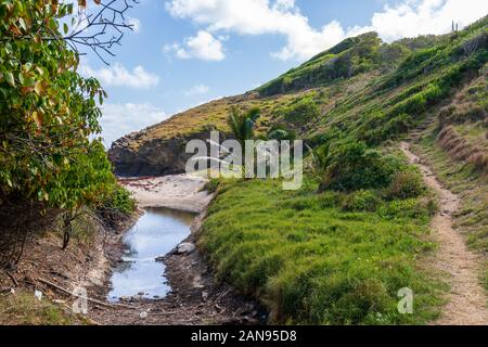 Sainte-Anne, Martinica, FWI - Ferré Cape - Trou Cadia Foto Stock