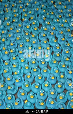 Blue le papere di gomma Foto Stock