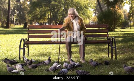 Felice vecchia signora seduta sul banco in park, alimentando i piccioni, anziani tempo libero Foto Stock