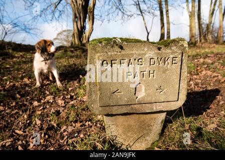 Un cartello sulla Offa's Dyke percorso nei pressi di Hay-on-Wye, Wales, Regno Unito Foto Stock