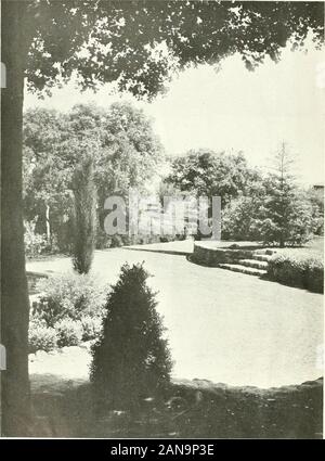 Architetto e ingegnere . L'architetto e ingegnere contenuti per luglio, 1922 Giardino e approccio Drive, Little Brook Farm,Los Gatos Frontespizio Emerson Knight, Landscaiw architetto e ingegnere giardini di recente a San Francisco e dintorni . - 47 Eiiienon KnightAn Inglese Visualizza degli svantaggi di edifici alti 61Sixty-Foot colonne economico in edifici Five-Story 63Edificio per Theo. H. Davies & Co., Honolulu, T. H. 65 Irving F. MorrowWar su legno Rifiuti condotta dal governo ... 86 Indietro costruzione intonacata 87 Giuseppe Losekann architettonico schede di registrazione 95 perché un architetto? 98 A. L Foto Stock