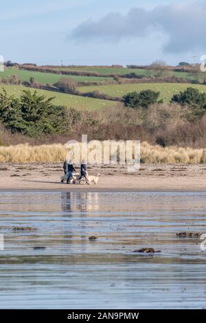 Tre proprietari di camminatori cane che camminano i loro animali domestici sulla spiaggia di Par, metà-Cornovaglia sul sole di Springtime. Il cielo blu si riflette nell'acqua che baglia la marea in uscita Foto Stock