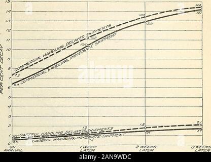 Fattori che regolano il successo della spedizione di arance da Florida . e è stato alcun vantaggio ad essere acquisita da indurimento. Contraryto la convinzione generale che frutta indurito è meno facilmente feriti in imballaggio, il averagedecay in ritardo lotti è stato notevolmente superiori rispetto a quelli nelle immediate spedizioni.Tabella XIV e figure 15,16, e 17 danno la percentuale media di decadimento trovati nella spedizione di arance dalla Florida. 33 immediato e spedizioni in ritardo durante le stagioni del 1910-11 e 1911-12. Suffi ciente di dati sono stati accumulati per indicare che gestiti con attenzione la frutta può becured senza grave perdita, Foto Stock