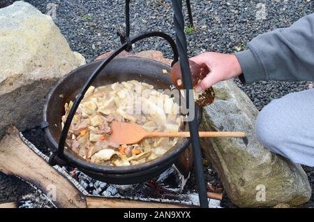 Preparare i funghi e il gulasch su un fuoco aperto in un bollitore, pensando di aggiungere alcuni funghi porcini extra Foto Stock