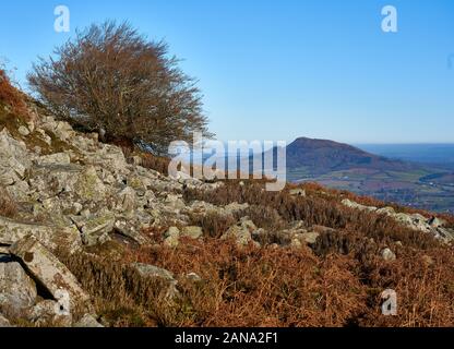 Lo Skirrid vicino Abergavenny un outlier delle montagne nere viste dai pendii della Blorenge nel Regno Unito del Galles del Sud Foto Stock