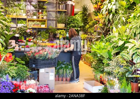 Un venditore di fiori nel suo negozio di fiori; mercato dei fiori di Hong Kong, Kowloon, Hong Kong Asia Foto Stock