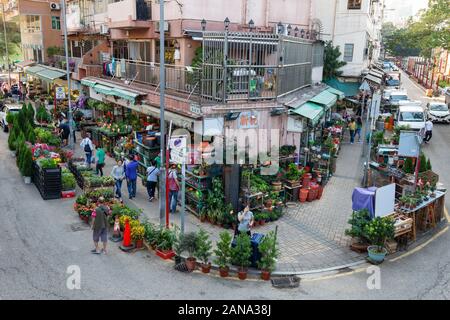 Hong Kong il mercato dei fiori - una vista da sopra del mercato dei fiori, il Mercato dei Fiori Street, Kowloon Hong Kong Asia Foto Stock