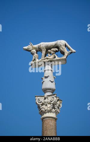 Lupo capitolino al Duomo di Siena, secondo una leggenda Siena fu fondata da Senius e Aschius, due figli di Remo, quando essi fuggirono Roma, presero t Foto Stock