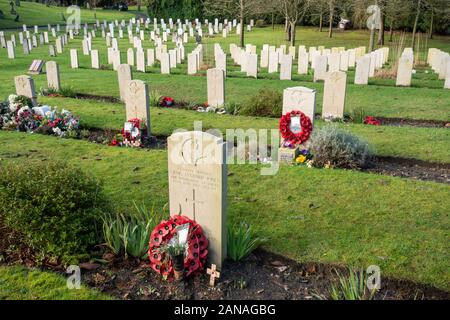 Aldershot Military cimitero con tombe del British Commonwealth e soldati e donne, Hampshire, Regno Unito. Le tombe di coloro che sono morti nella guerra delle Falkland Foto Stock