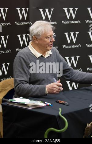 Waterstones Book Store, Peascod Street, Windsor, Berkshire, Regno Unito. Il 21 febbraio, 2008. La vita a sangue freddo libro firma per autore e storico naturale di Sir David Attenborough. Credito: Maureen McLean/Alamy Foto Stock