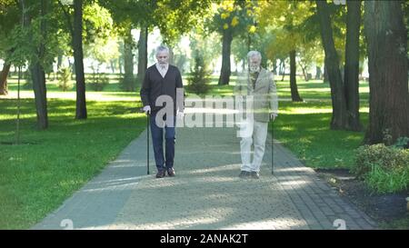 Di età compresa tra i migliori amici a piedi la giornata nel parco, un maschio scomparendo, memorie, perdita Foto Stock