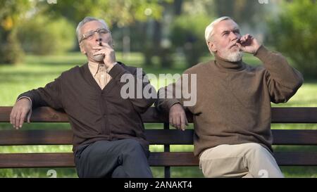I pensionati maschi fumatori costosi sigari, riposo nel parco, felice pensionamento Foto Stock