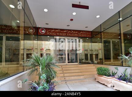 Doha, Qatar - Nov 21. 2019. Ospedale Souq Waqif Falcon Foto Stock