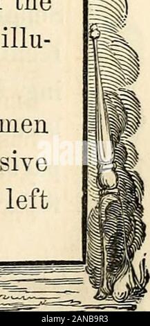 Relazione della Commissione delle disposizioni del Consiglio Comune di New York, del obsequies in memoria dell'Argilla HonHenry . Foto Stock