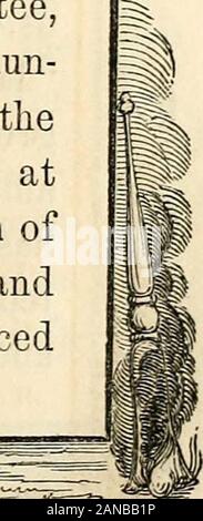 Relazione della Commissione delle disposizioni del Consiglio Comune di New York, del obsequies in memoria dell'Argilla HonHenry . La cottura del minuto-pistole.. Obse(|i(ics di Foto Stock