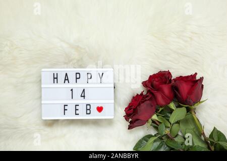 Bouquet di rose maroon sul latte bianco tappeto di pelliccia, lightbox con iscrizione Happy 14 FEB che significa il giorno di San Valentino. Lay piatto. Vista dall'alto. Febbraio xiv Foto Stock