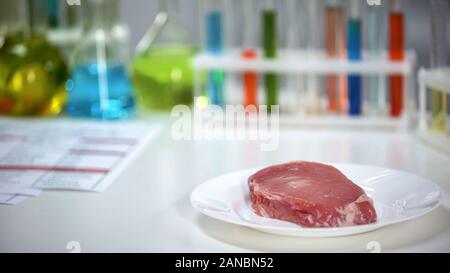 Campione di carne giacenti su piastra in laboratorio dello scienziato, test di antibiotico, qualità Foto Stock