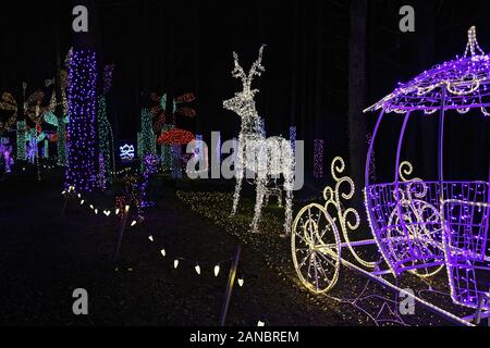 Natale nel giardino è un evento outdoor con sentieri che conducono a dieci acri di foresta con un milione di luce display. Foto Stock