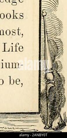 Relazione della Commissione delle disposizioni del Consiglio Comune di New York, del obsequies in memoria dell'Argilla HonHenry . Foto Stock
