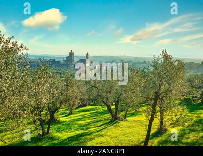 Vinci, città natale di Leonardo, villaggio skyline e olivi al tramonto. Firenze Toscana Italia Europa. Foto Stock